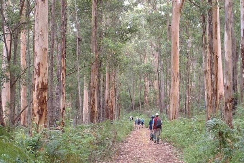 Multi Day Customizable Outback Hiking Adventure Bibbulmun Tour