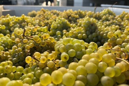 Custom Willamette Valley Wine Tours from The Allison Inn and Spa