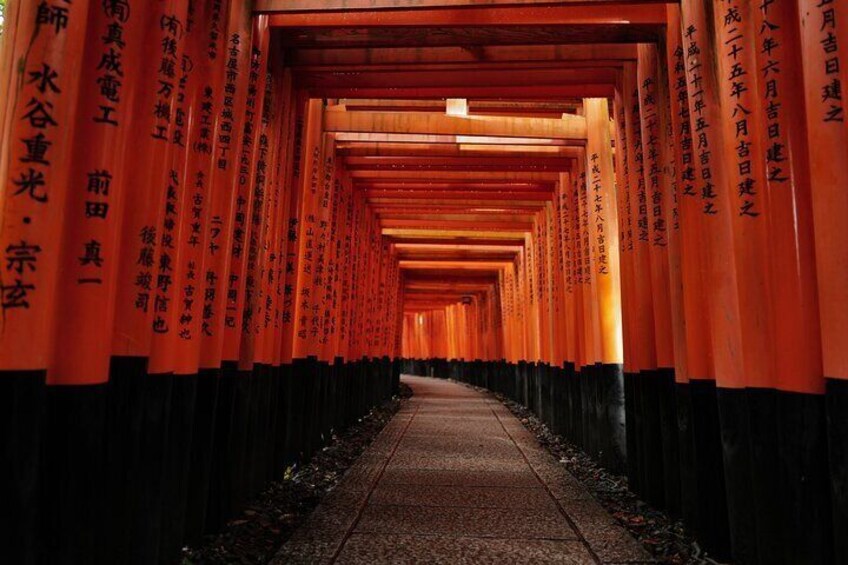 Kyoto and Nara in 1 Day in Fushimi Inari and Deer Park
