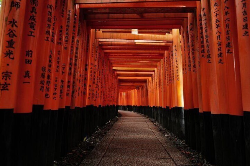 Kyoto and Nara in 1 Day in Fushimi Inari and Deer Park