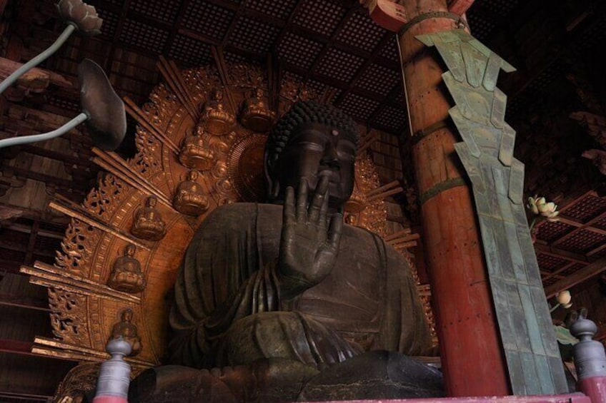 Kyoto and Nara in 1 Day in Fushimi Inari and Deer Park