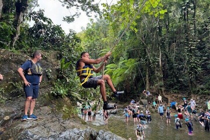 "Off the beaten path" Rain Forest Guided hike with Transportation