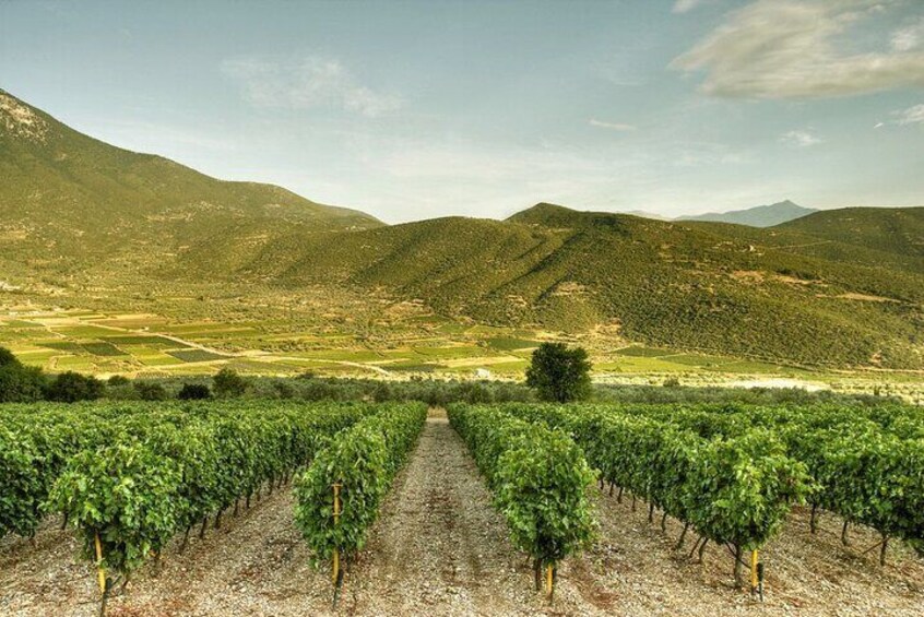 Nemea and Nafplio Wine Roads Private Day Tour