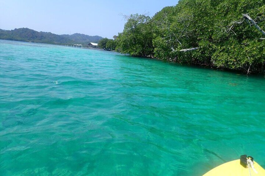 Mangrove Lagoon Kayak, Snorkel & Swim Excursion