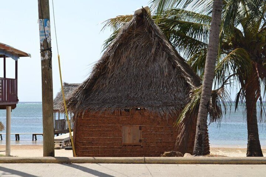 Authentic Experience: Local Lunch, Mangrove Forest Swim & Snorkel