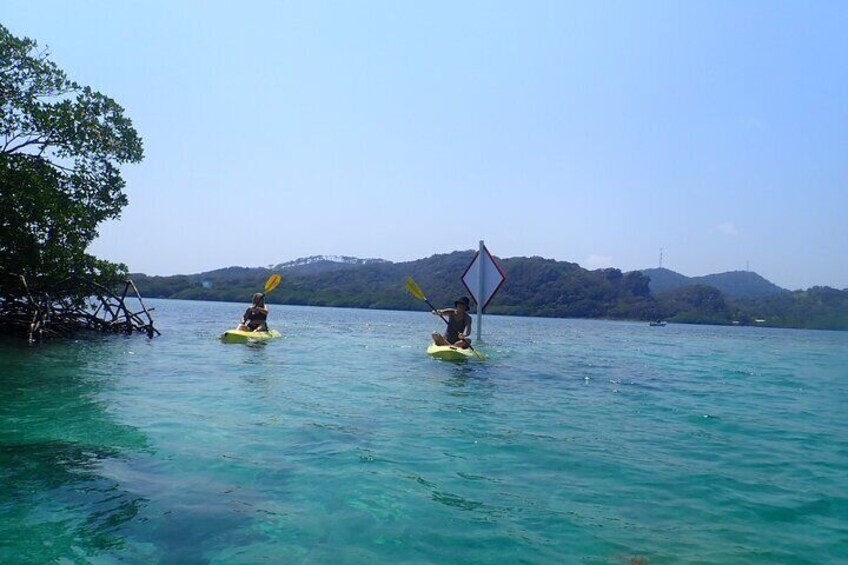 Mangrove Lagoon Kayak, Snorkel & Swim Excursion