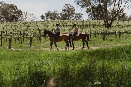 Horse Trail Ride and Wine Tasting at Adelaide Hills Winery