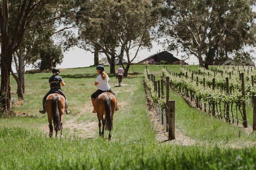 Romantic Horse Trail Ride with Wine and Food in Adelaide Hills