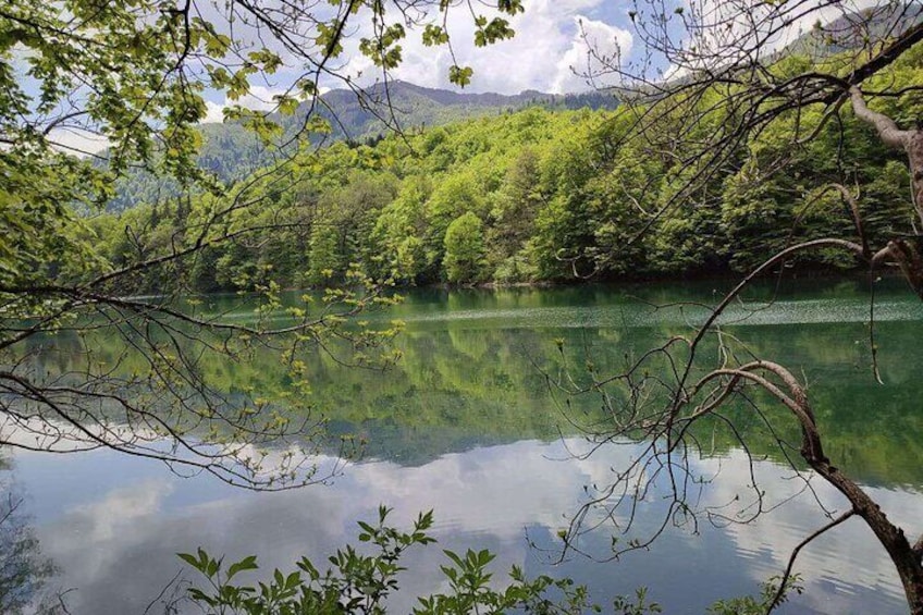Shared Guided Tour to Canyons of Montenegro