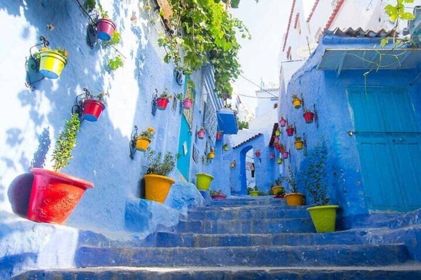 Shared Group Chefchaouen Day Trip from Fez