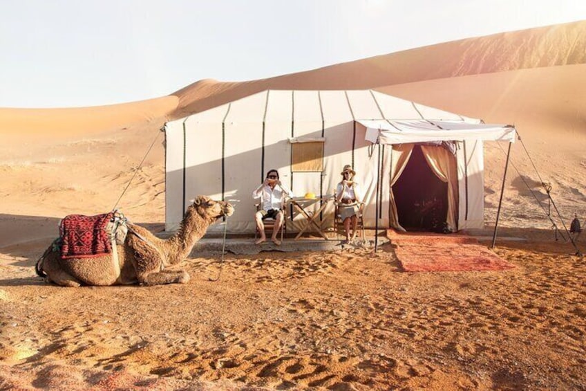 Glamping in the Sahara Desert Morocco