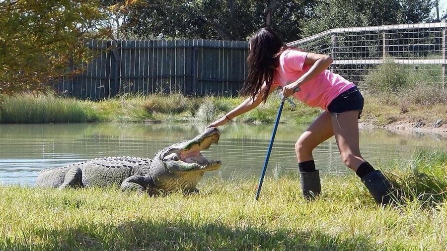 From Houston: Crocodile Encounter Entry Ticket