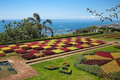 Private Tour in Tuk Tuk to the Botanical Garden