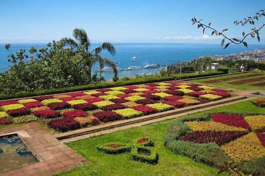 Private Tour in Tuk Tuk to the Botanical Garden
