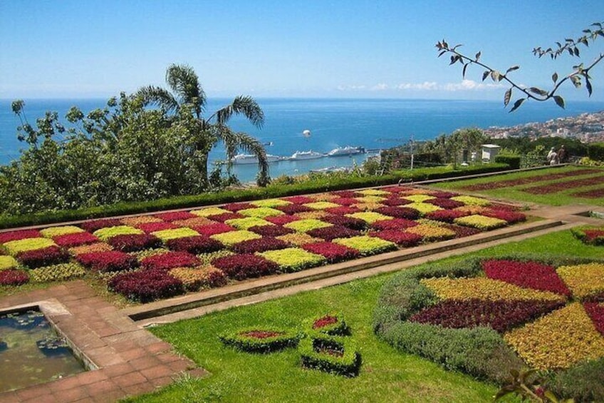 Private Tour in Tuk Tuk to the Botanical Garden