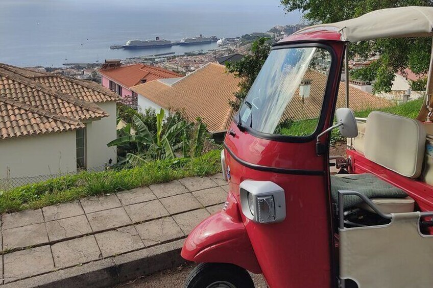Private Tour in Tuk Tuk to the Botanical Garden