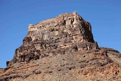 Bird Watching at The Souss Massa National Park