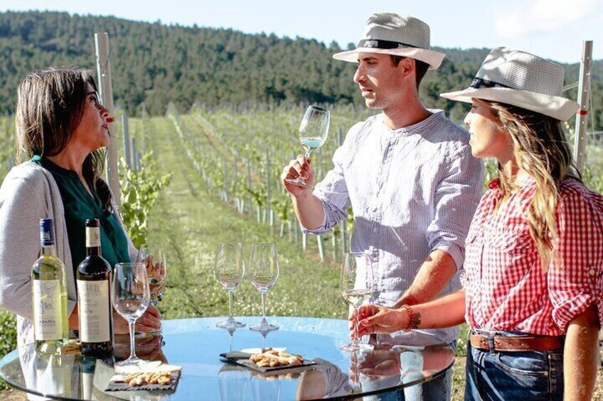 Terras Gauda wine tasting