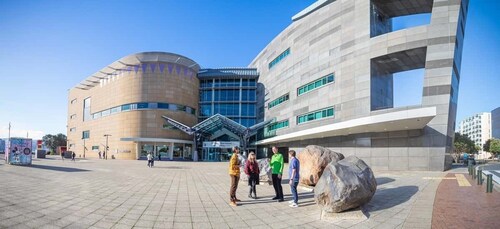 Wellington: Museum of NZ General Admission