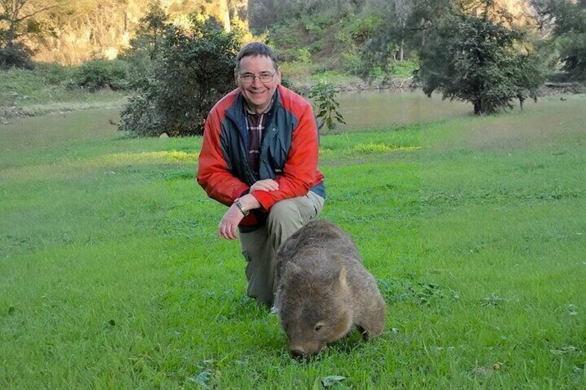 Wombat and Kangaroo Wildlife Tour from Sydney