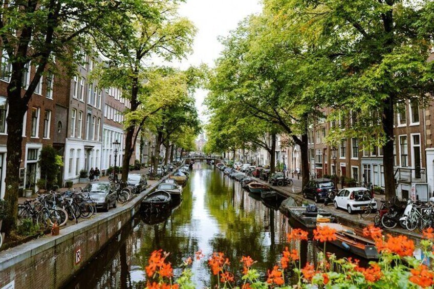 3 Day Netherlands and Belgium Discovery Tour from Paris