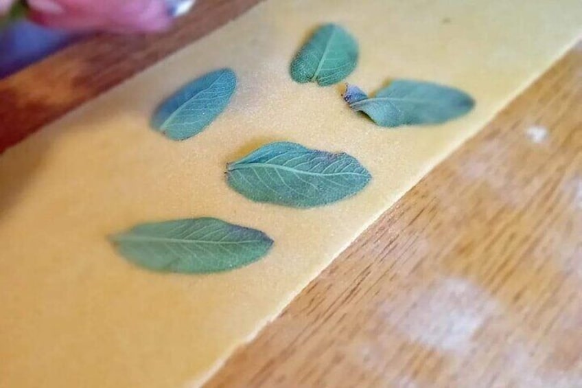 coloured paste with added sage