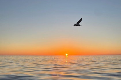 Cinque Terre Sunset Tour
