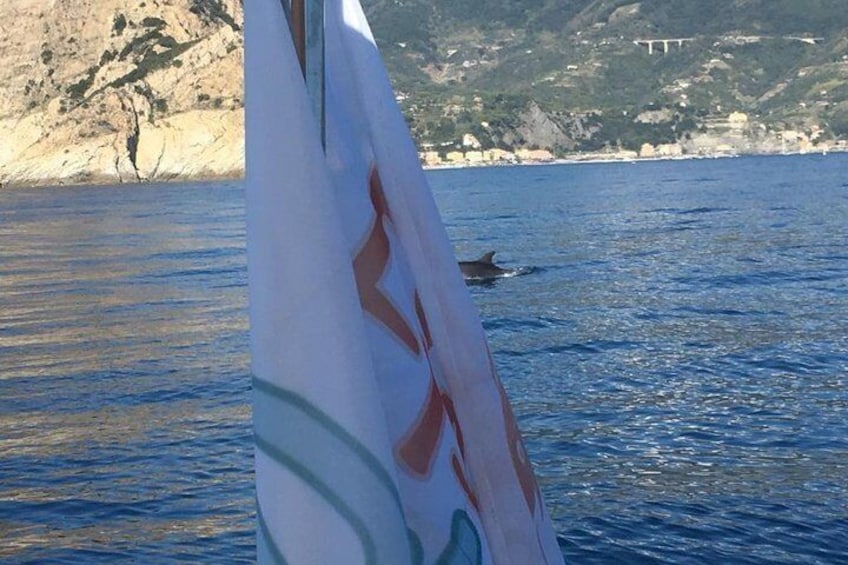 Cinque Terre Sunset Tour