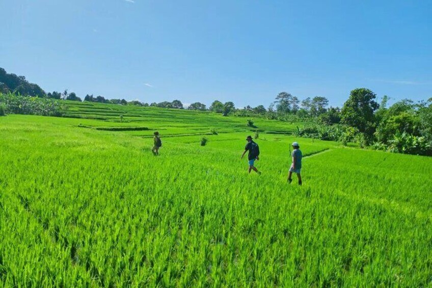 Bali Kaura Children's Adventure Activities with Private Transfer