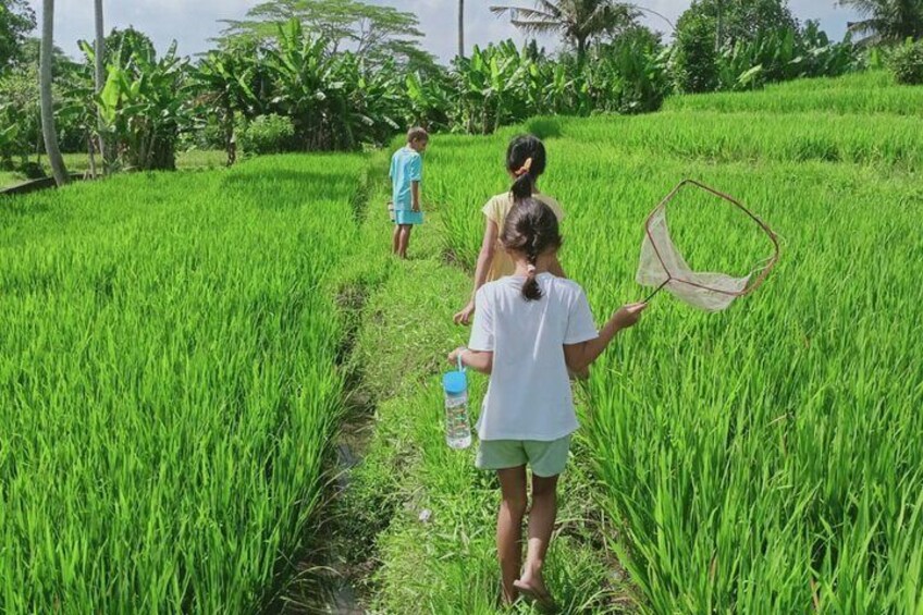 Bali Kaura Children's Adventure Activities with Private Transfer