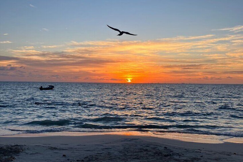 Experience the Sunset on Hidden Beach in Sayulita