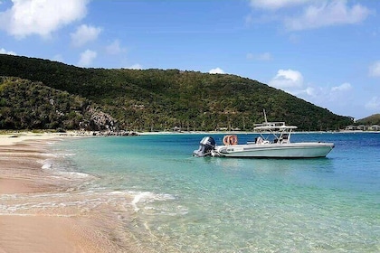 Private BVI Full Day Soggy Dollar and Willy T Tour