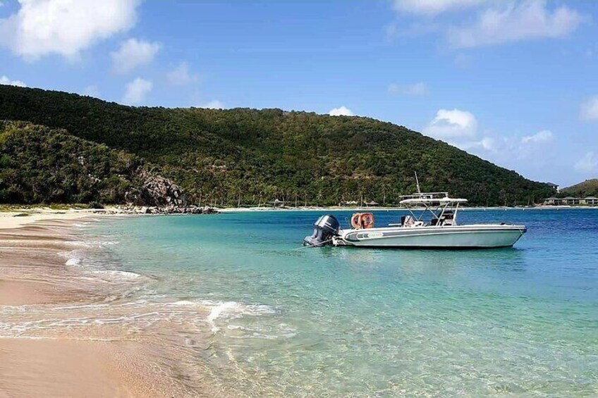 Private BVI Full Day Soggy Dollar and Willy T Tour