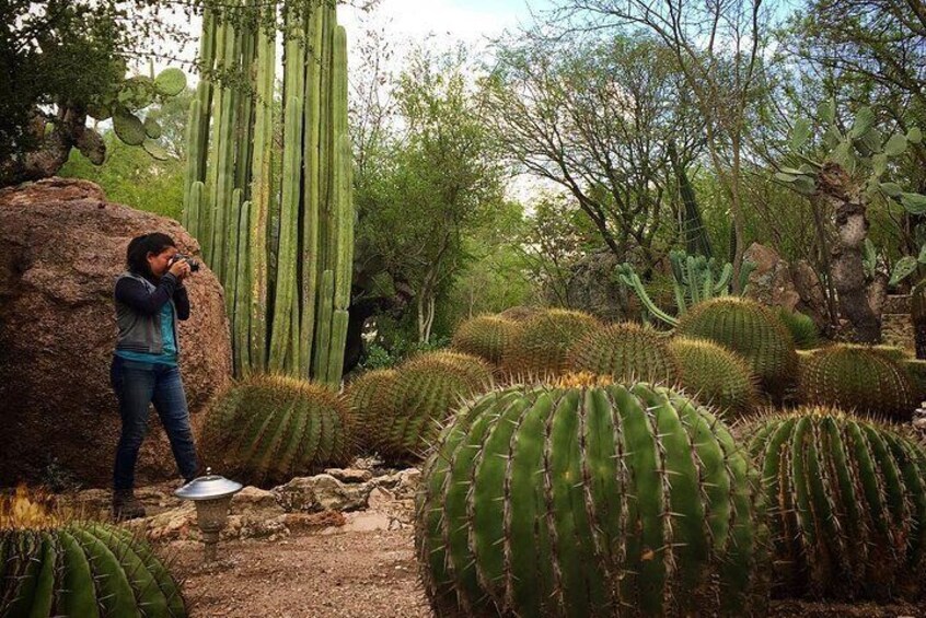 Botanical Garden of Cadereyta