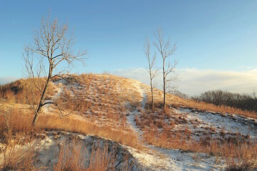 Indiana Dunes State Park