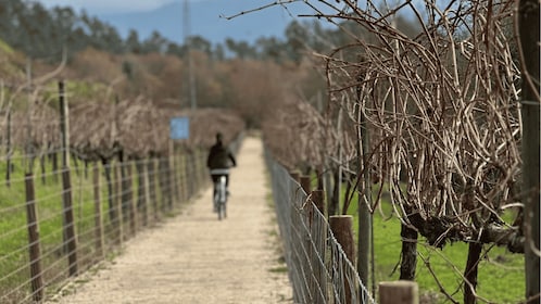 Bike tour with local guide (Arcos de Valdevez or National Park)