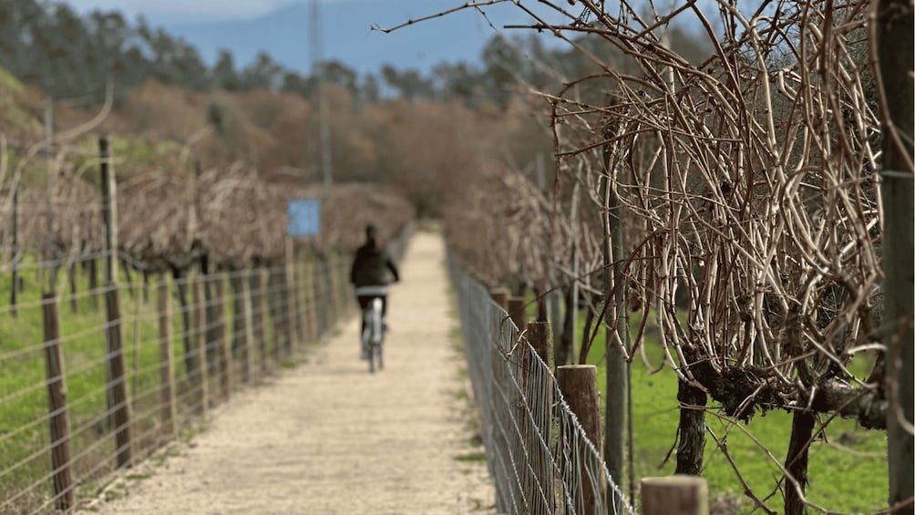 Arcos de Valdevez: Bicycle rental