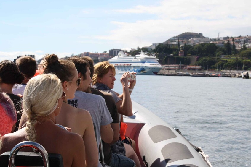 Picture 2 for Activity Dolphin & Whale Watching & Swimming with Dolphins