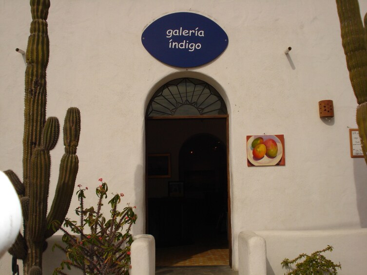 The Magic of Todos Santos From Los Cabos