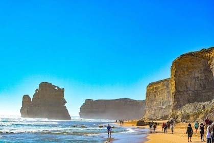 Melbourne: Explore Great Ocean Road by Private Tour