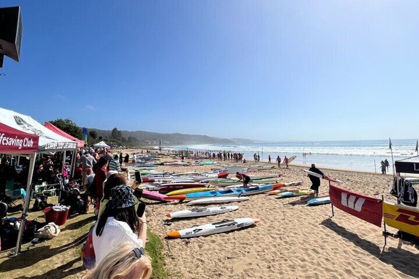 Melbourne: Explore Great Ocean Road by Private Tour