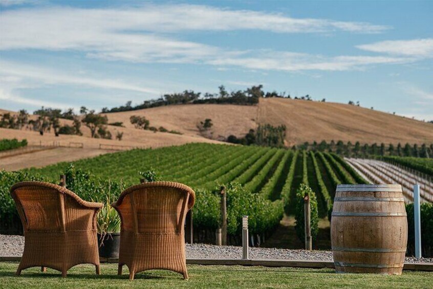 Melbourne Yarra Valley Wineries Explore Private Tour