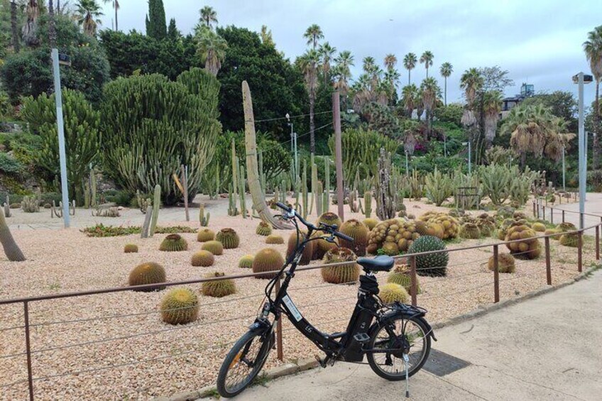 Montjuïc Guided e-Bike Tour with Tapas from Barcelona