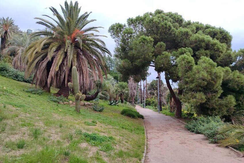 Montjuïc Guided e-Bike Tour with Tapas from Barcelona