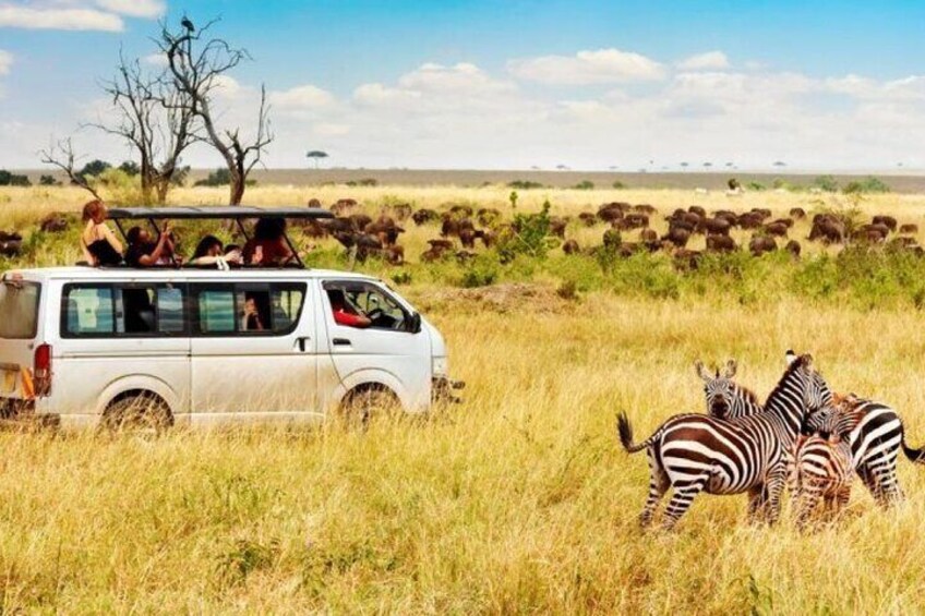 6 Days 5 nights Lake Nakuru, Maasai Mara and Serengeti safari