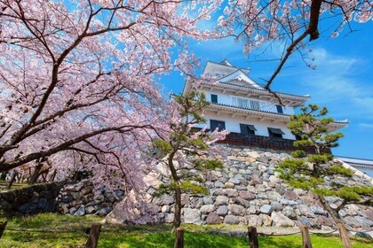 Kyoto Osaka to Lake Biwa Private Day Tour