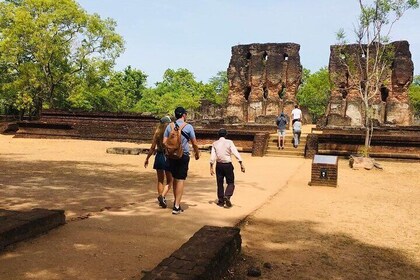 Visiting the Historical Polonnaruwa Ruins and Minneriya Safari