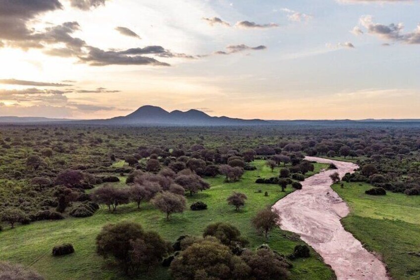 The Mighty Rufiji River
