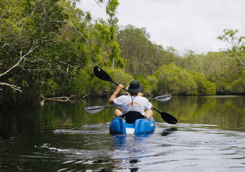 Picture 1 for Activity Noosa: Everglades Kayak Tour in a Stingray Sanctuary