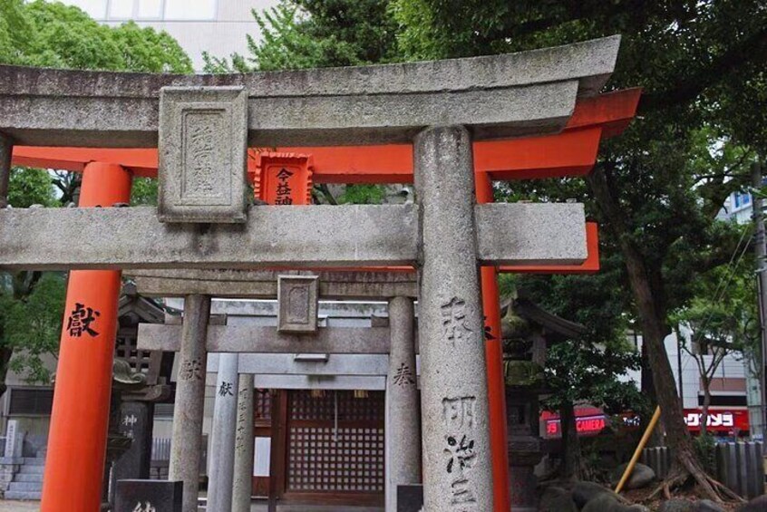 Kobe and Himeji A Journey Through Culture and History